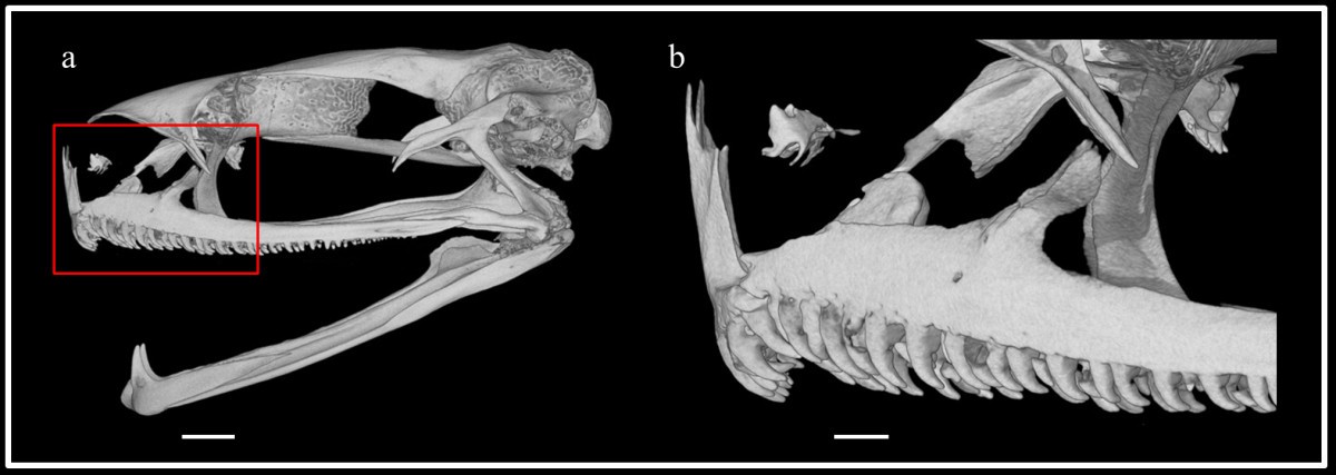 Figure 2