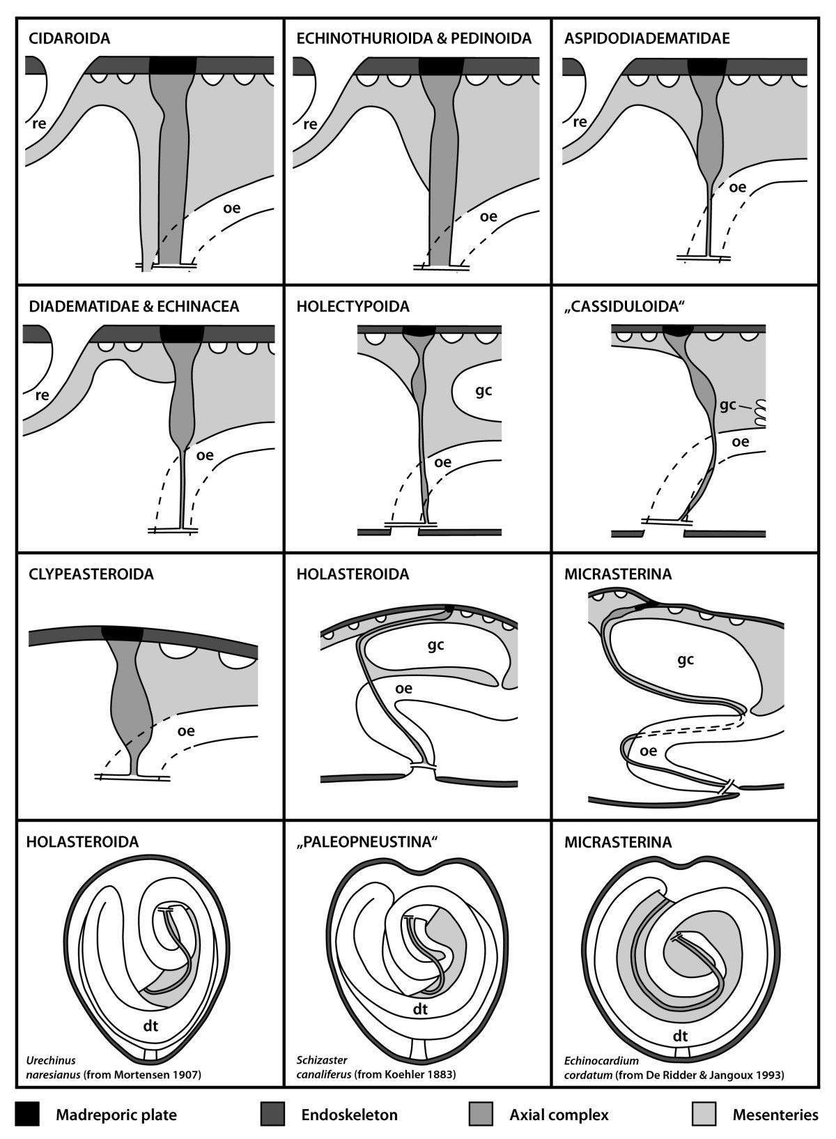 Figure 5