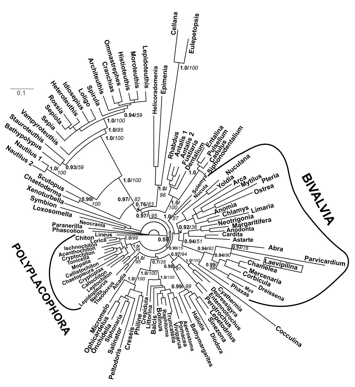 Figure 5