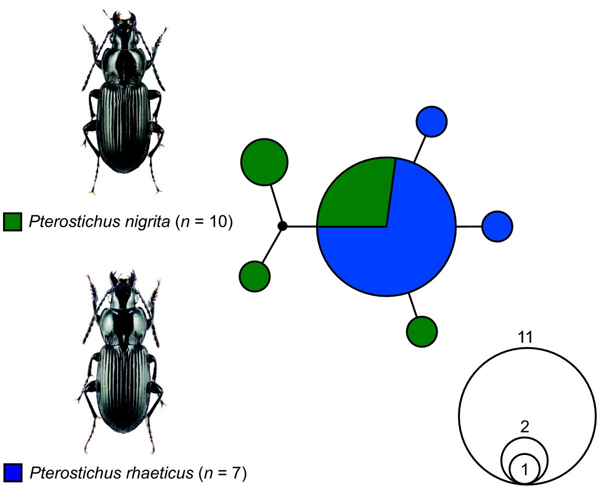 Figure 7