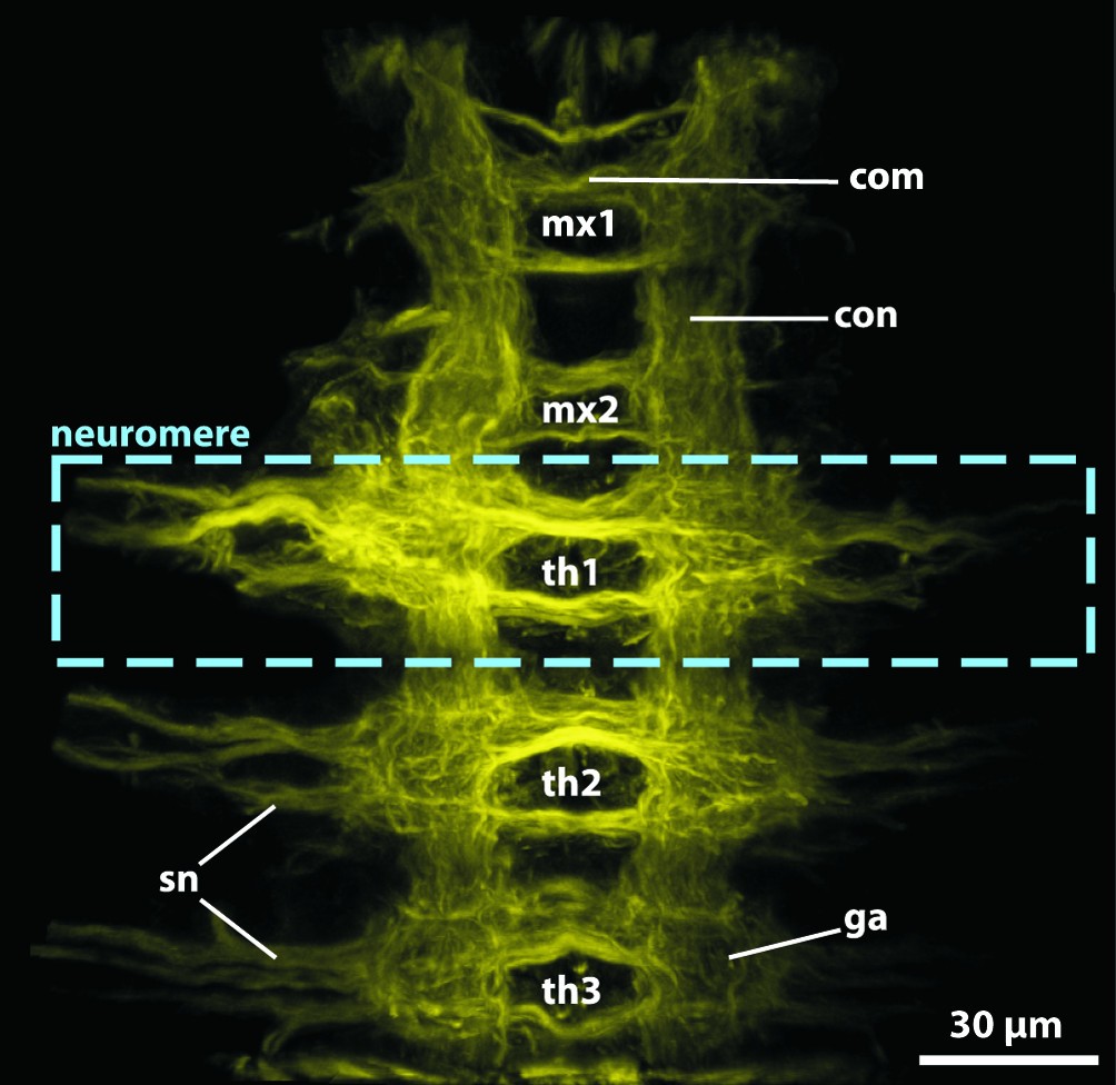 Figure 18