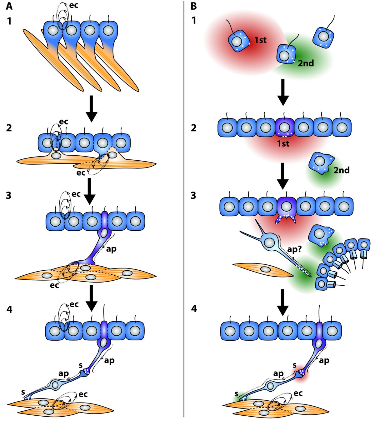 Figure 20