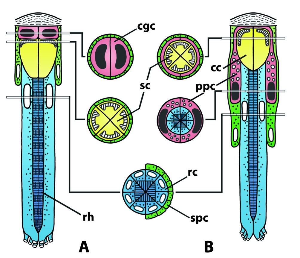 Figure 23