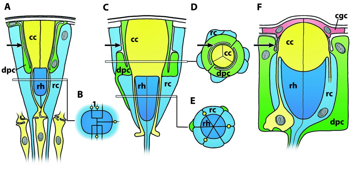 Figure 24