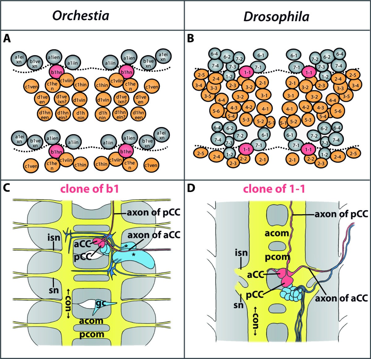 Figure 27