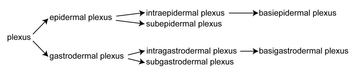 Figure 29