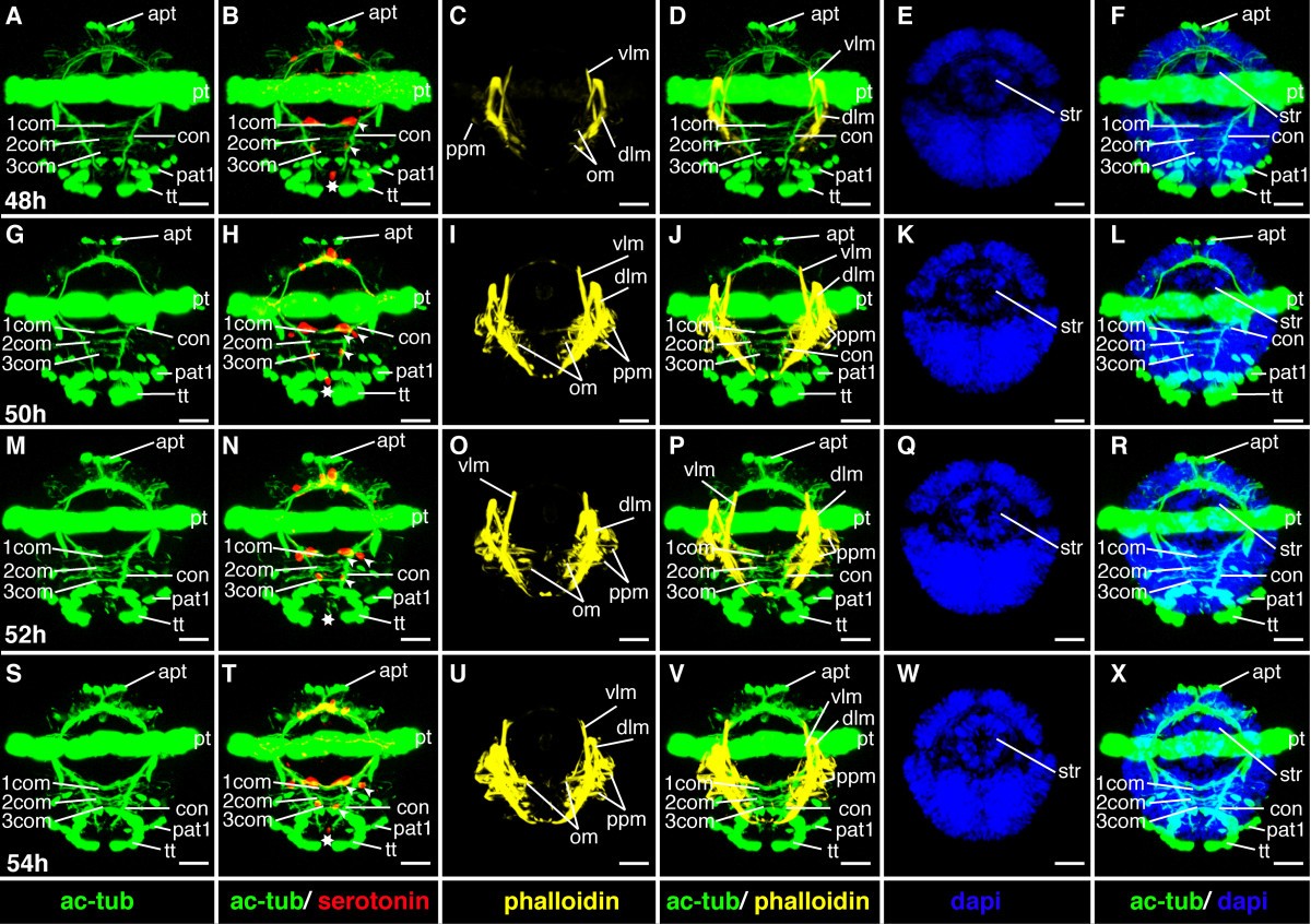 Figure 15