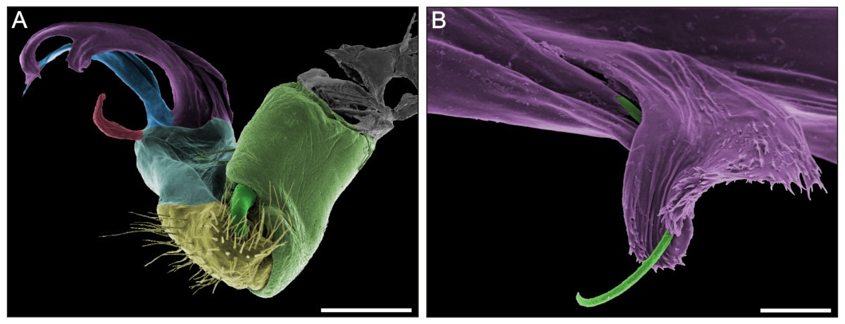 Figure 12