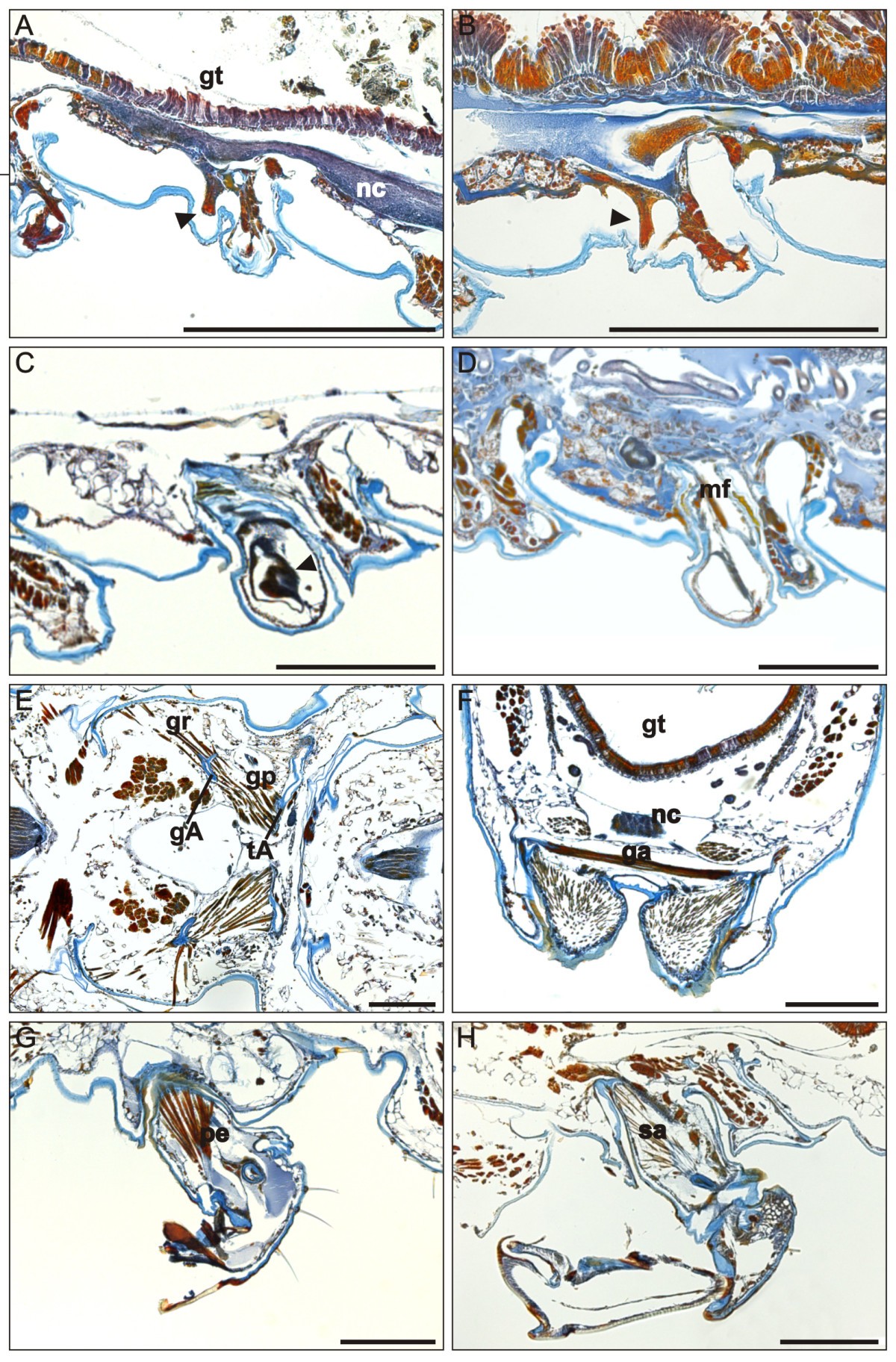 Figure 13