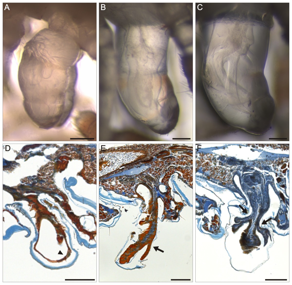 Figure 14