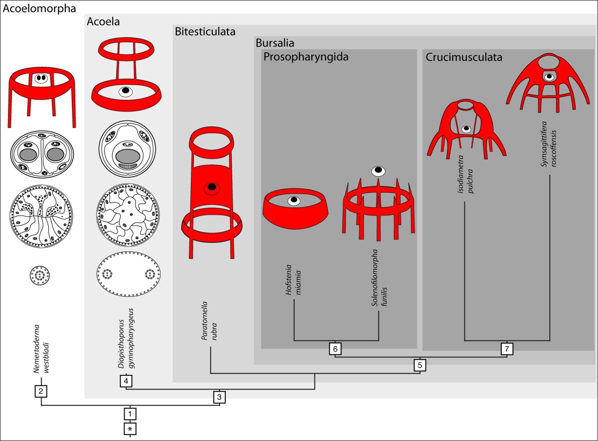 Figure 12