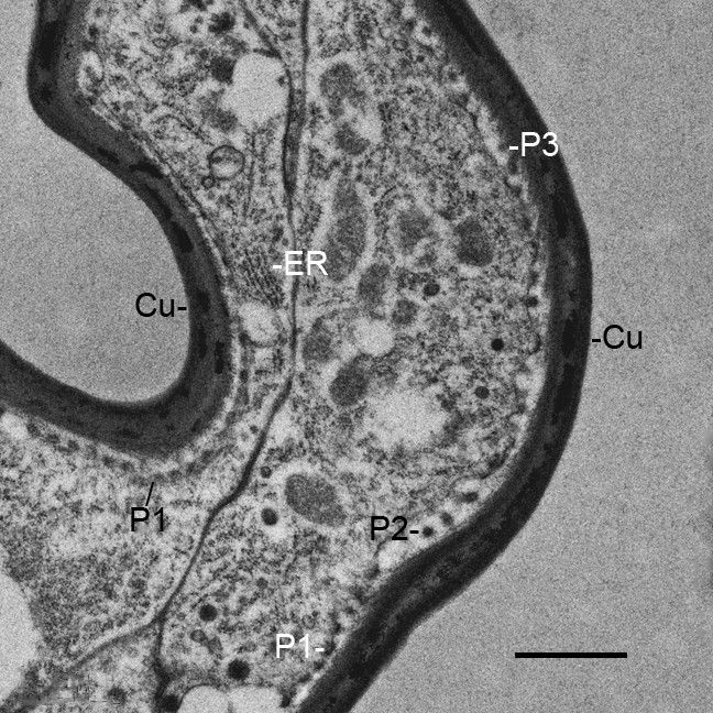 Figure 14