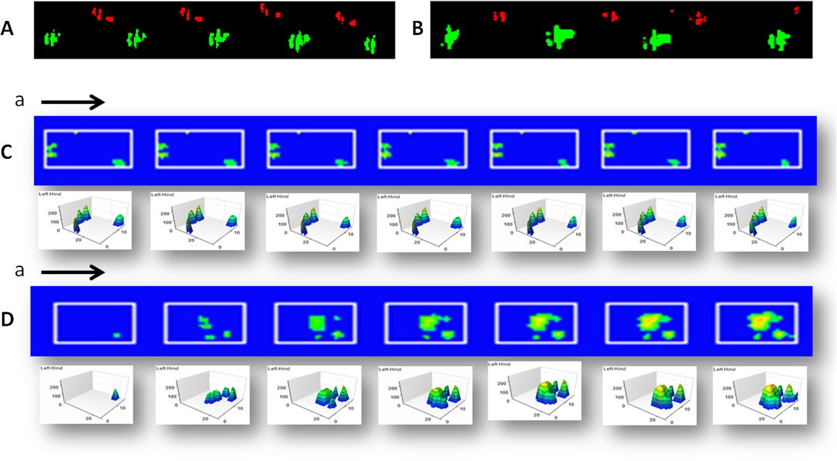 Figure 7