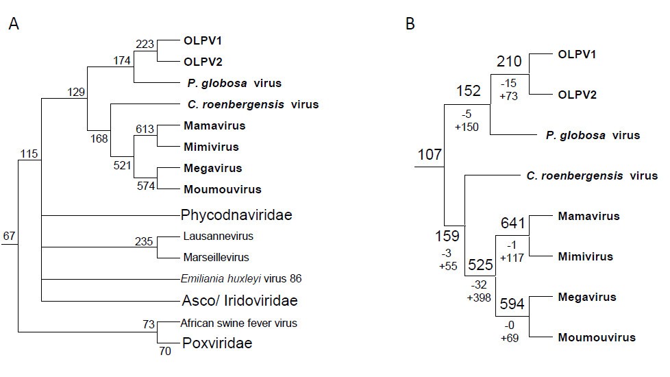 Figure 9