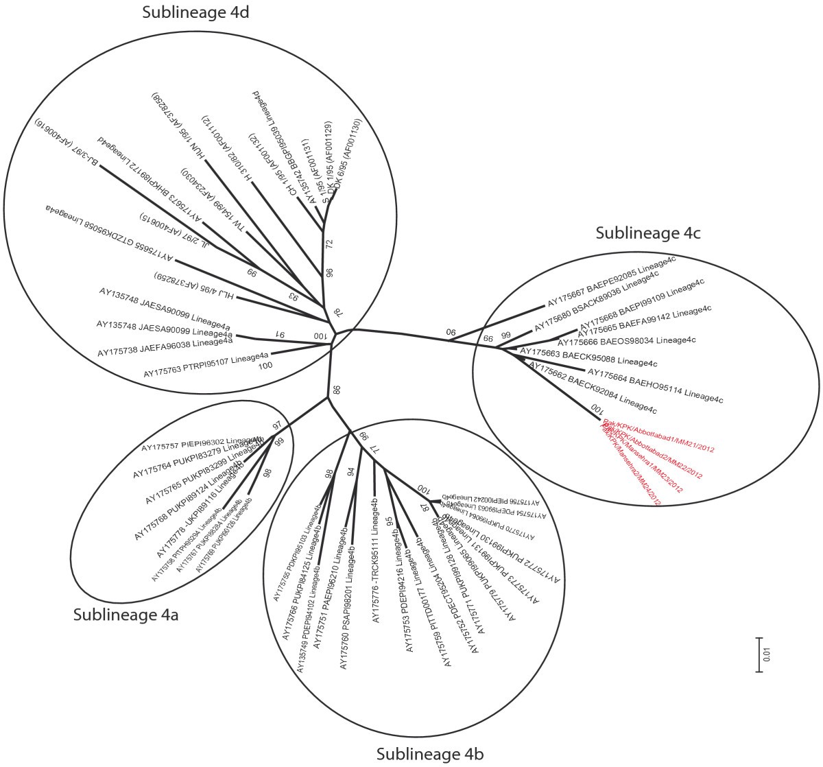 Figure 4