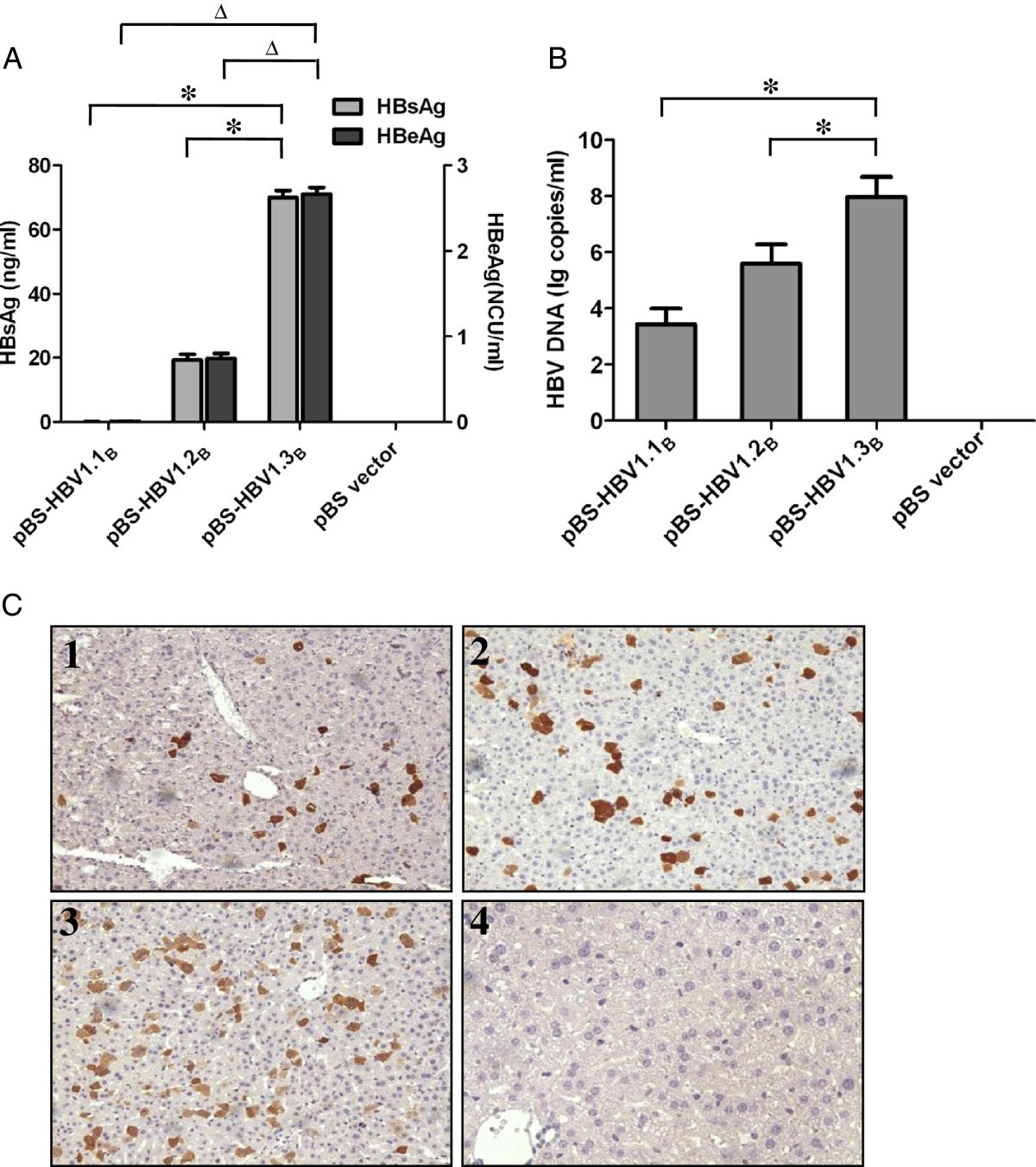 Inhibition Of Hepatitis B Virus Hbv Gene Expression And Replication By Hbx Gene Silencing In A Hydrodynamic Injection Mouse Model With A New Clone Of Hbv Genotype B Virology Journal