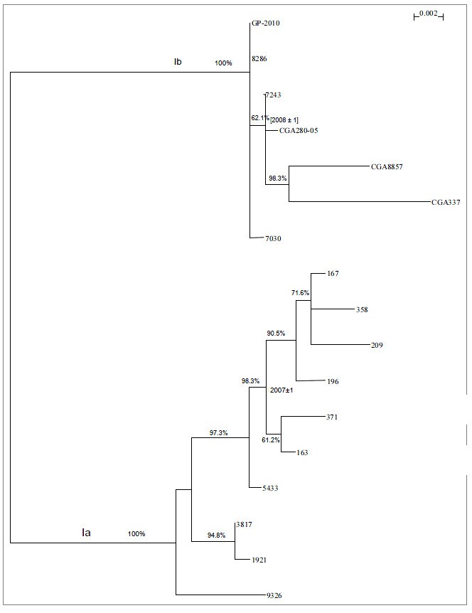 Figure 11