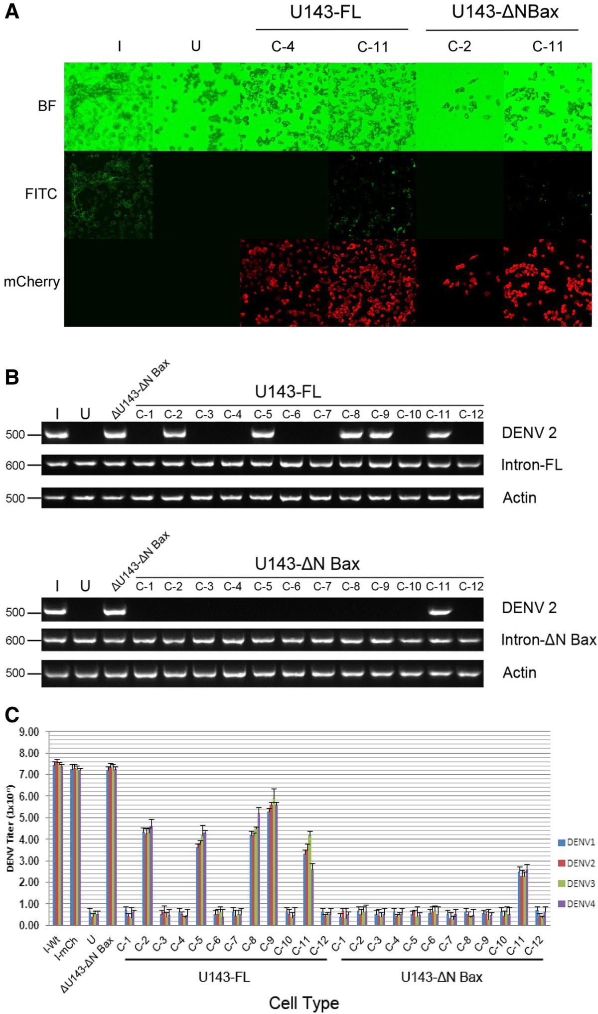 Figure 7