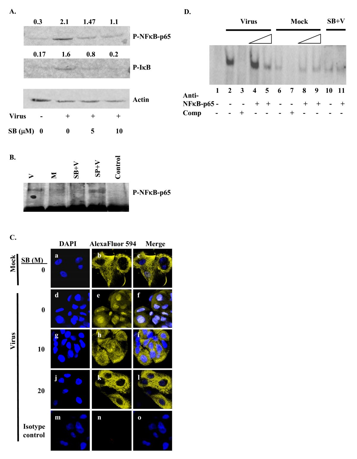 Figure 2