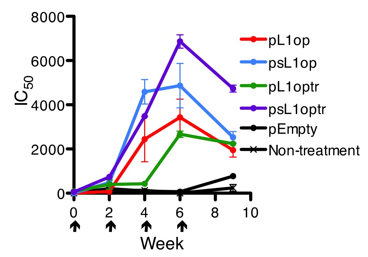 Figure 5