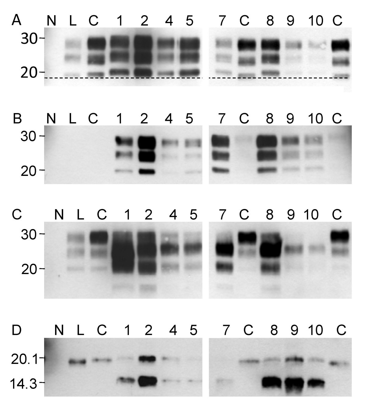 Figure 5