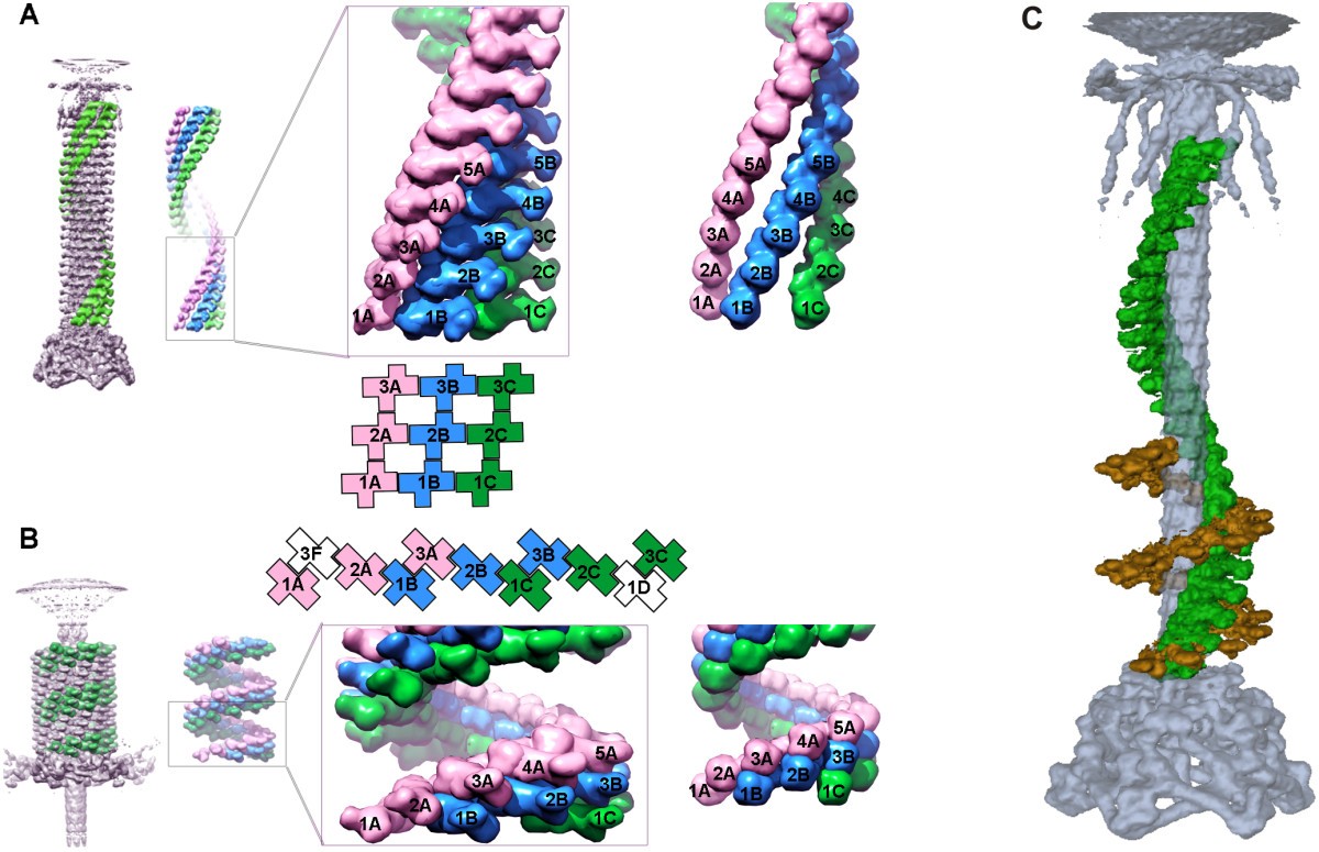 Figure 13