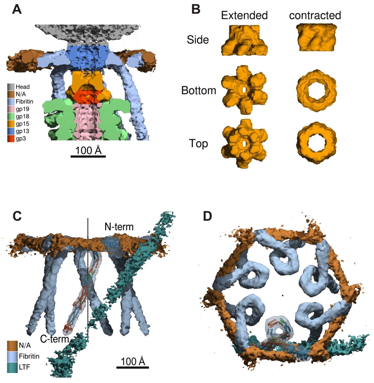 Figure 14