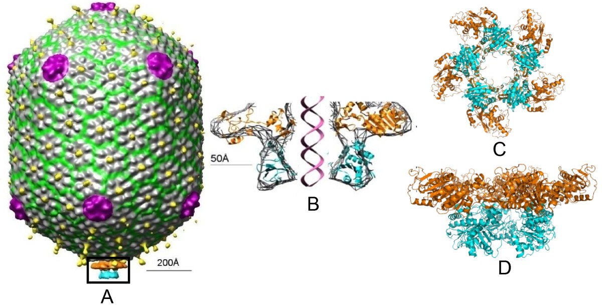 Figure 7