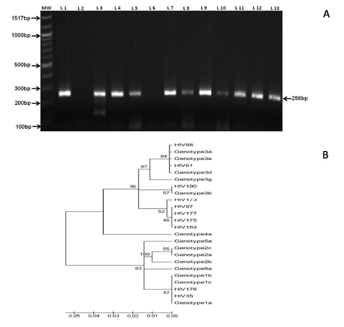 Figure 5