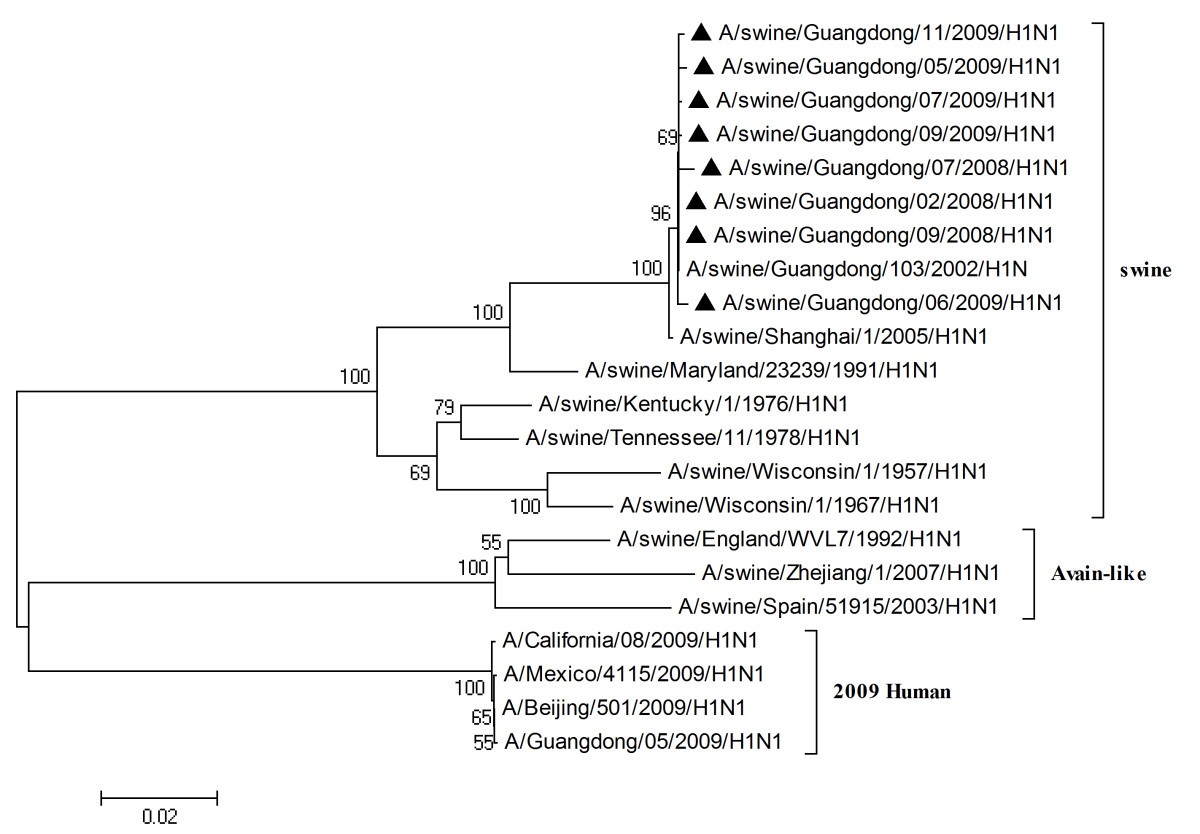 Figure 6