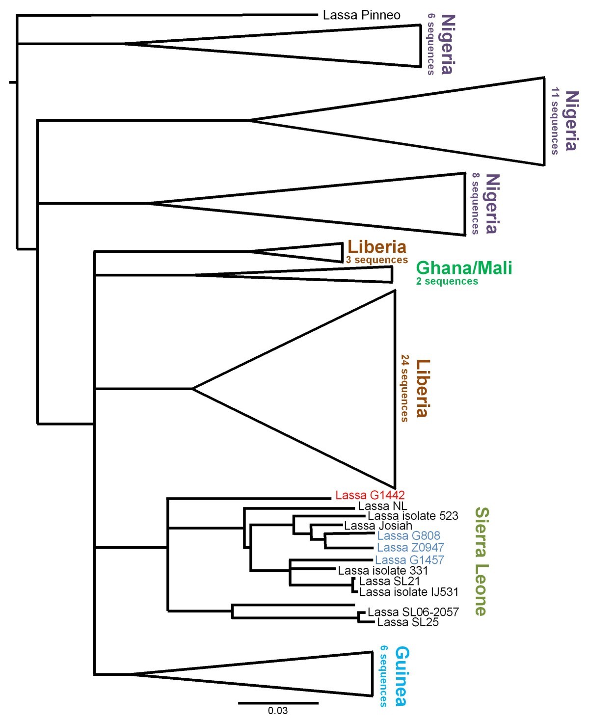 Figure 6