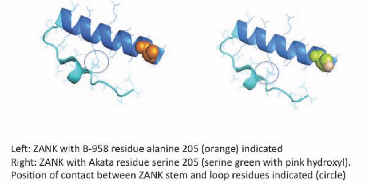 Figure 12