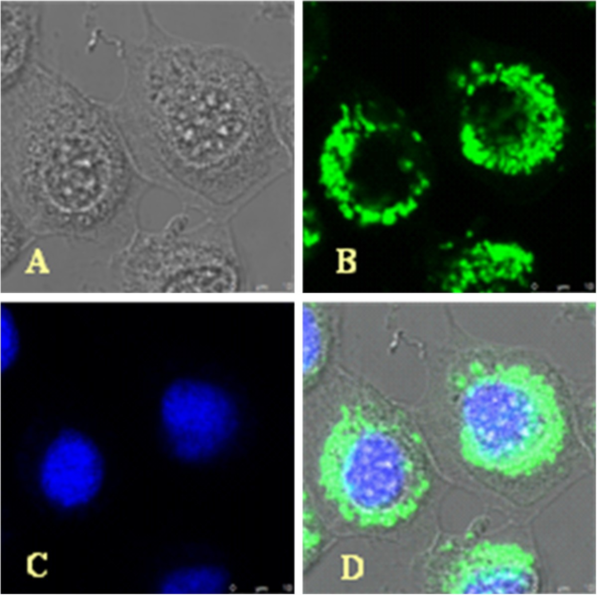 Figure 4