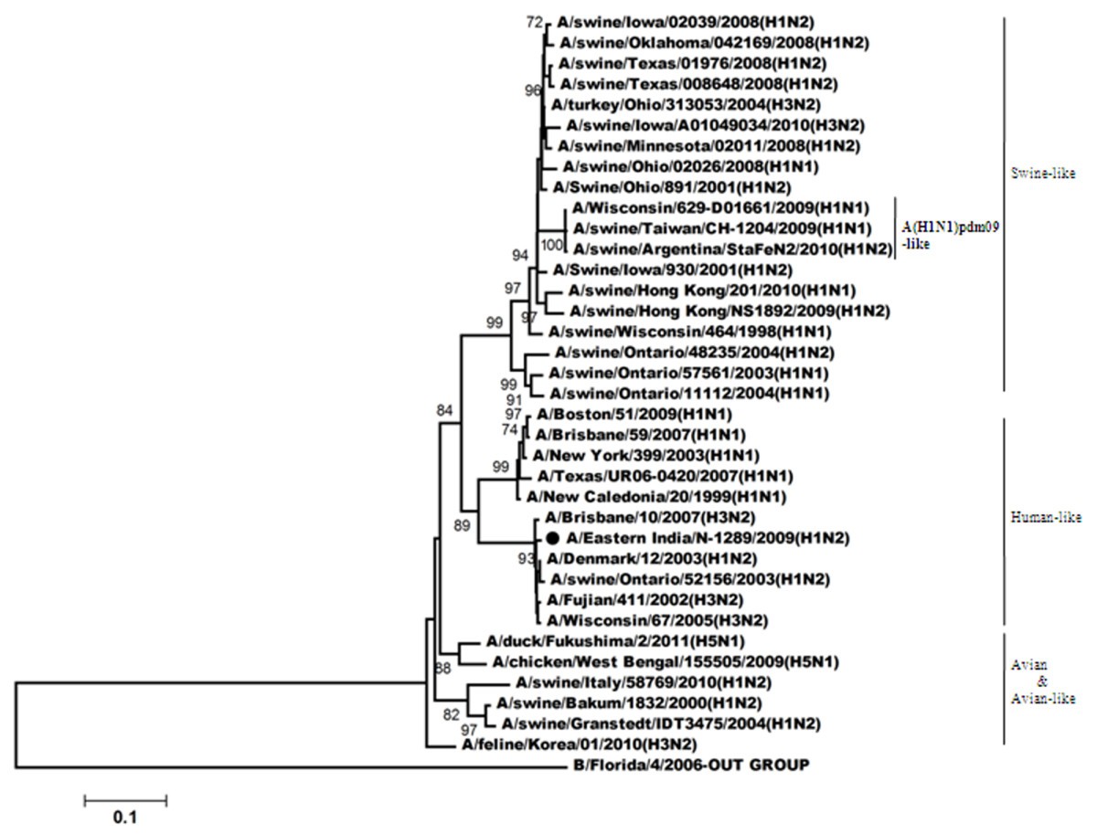 Figure 7