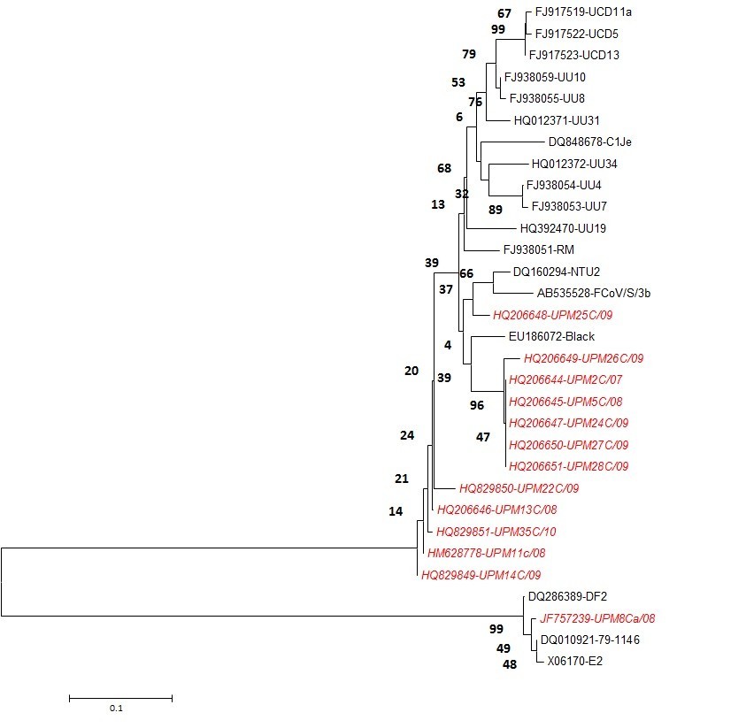 Figure 5