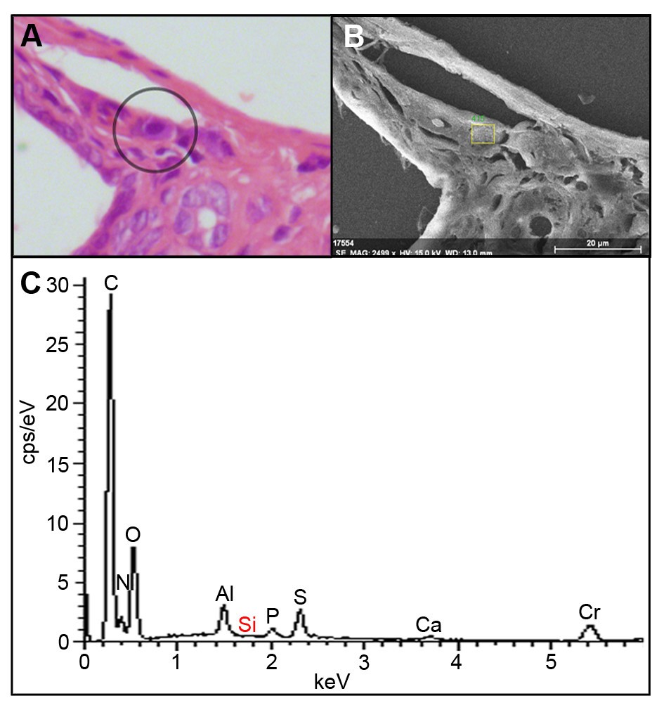 Figure 7