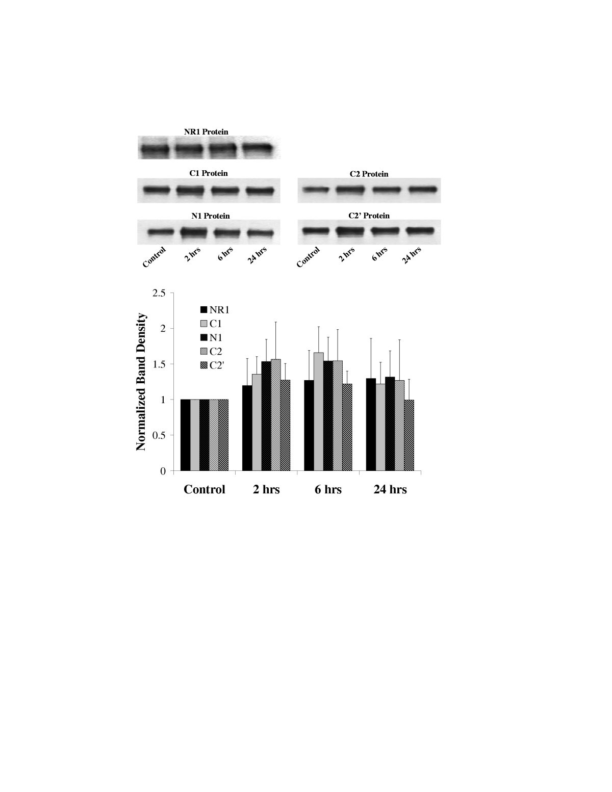 Figure 6