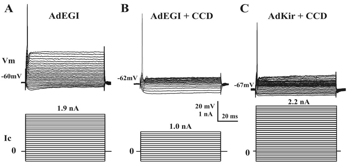 Figure 5