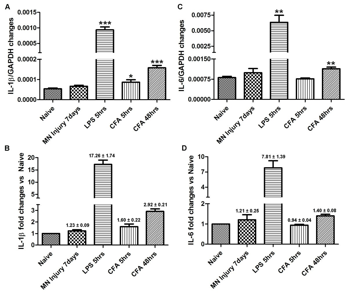 Figure 10