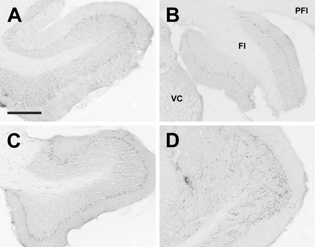 Figure 20