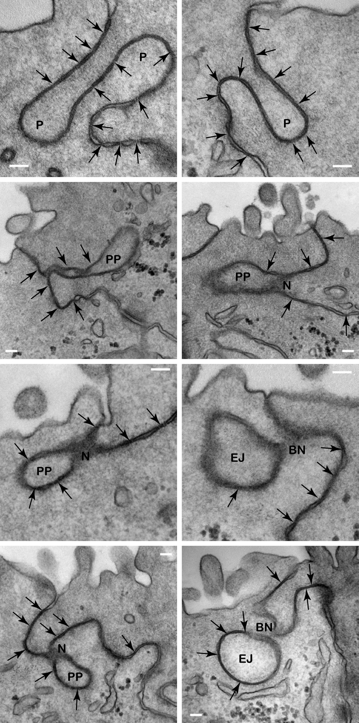 Figure 13