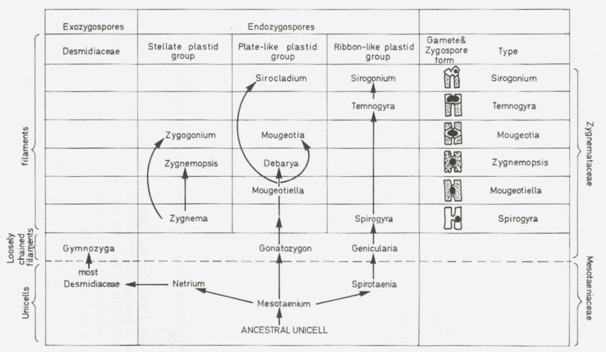 Figure 25