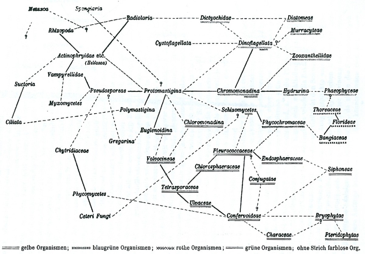 Figure 26