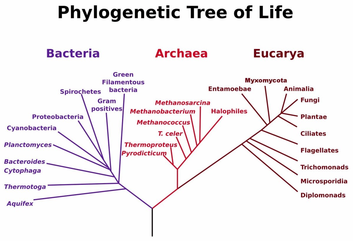 Figure 27