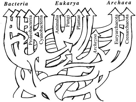 Figure 28