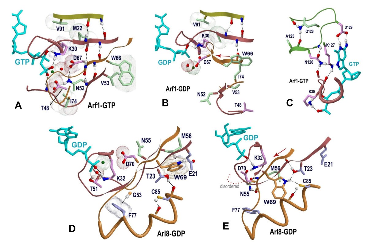 Figure 5