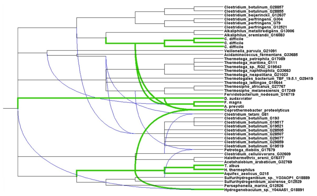 Figure 15