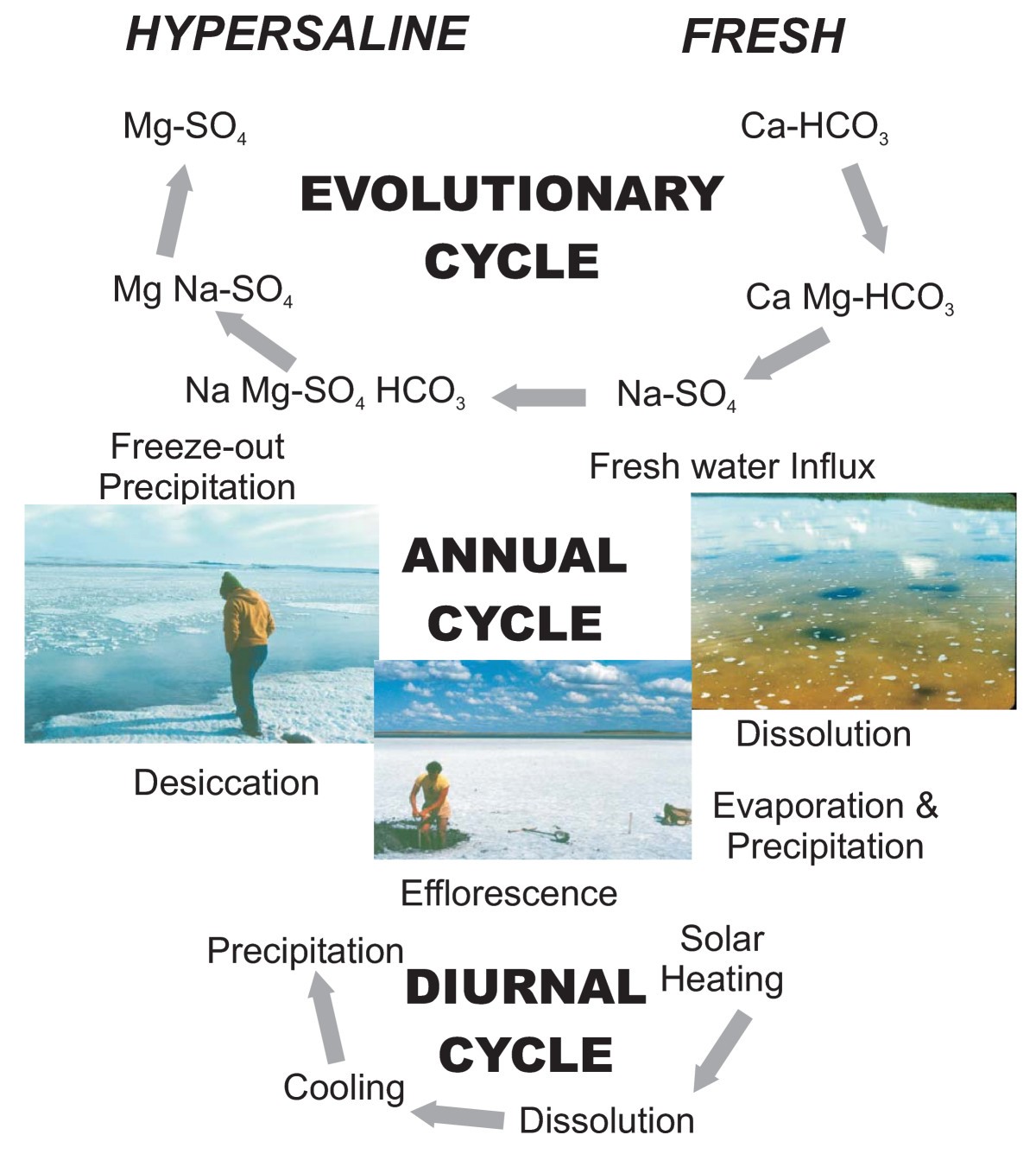 Figure 24