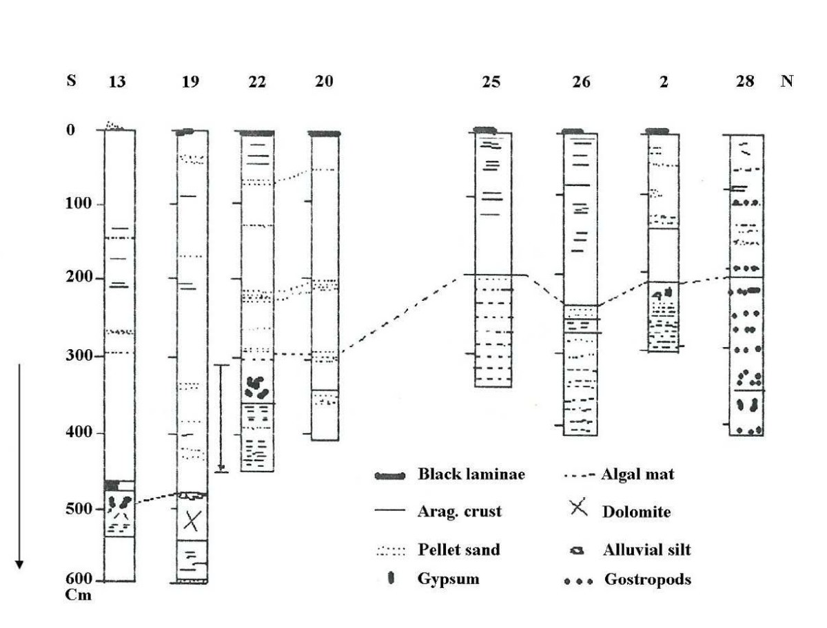 Figure 8