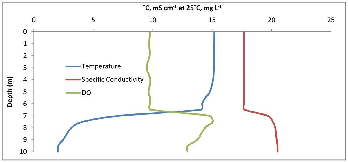 Figure 9